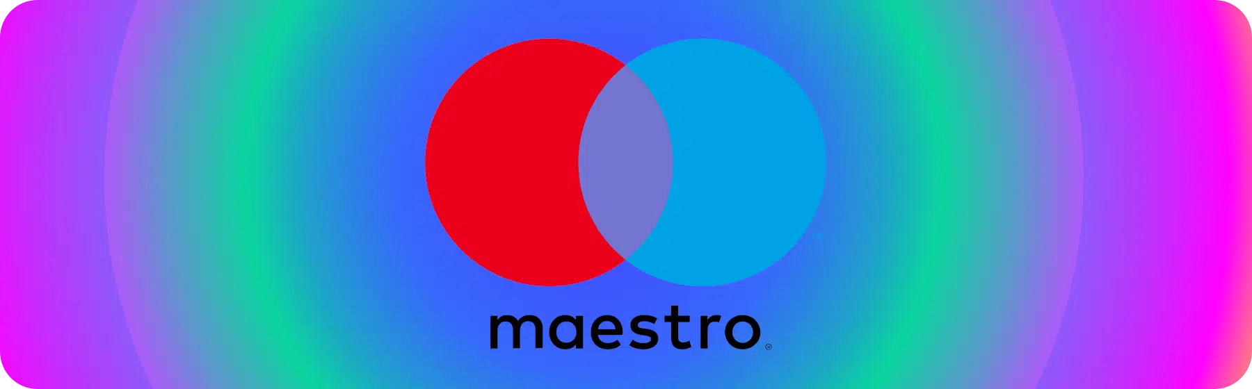 logo for maestro payment method