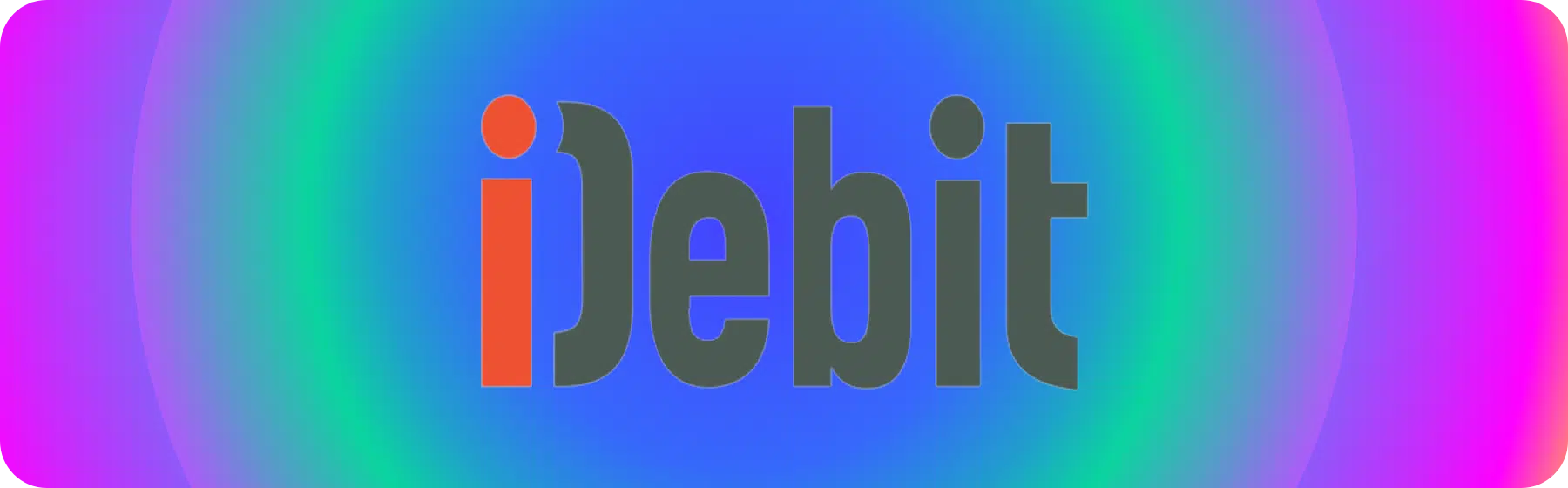 idebit payment method logo 